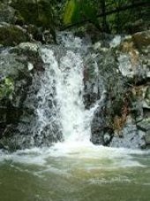 top falls after rain